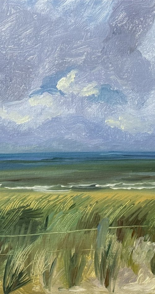Coastal Wind by Anastasia Chernysheva