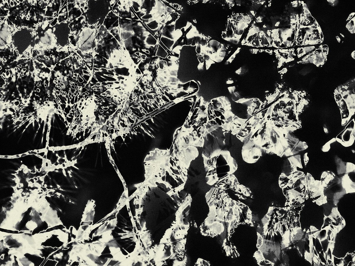 Expressive Photograph , Timeless Shadows 6. By Petr Strnad, 16 X 12, Artwork For Sale On Artfinder