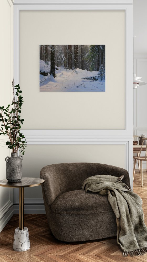 Winter in the spruce forest