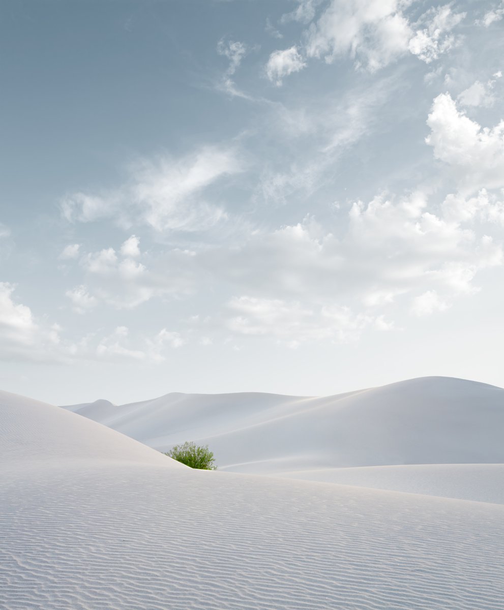 View of white sand dunes. by Dmitry Ersler