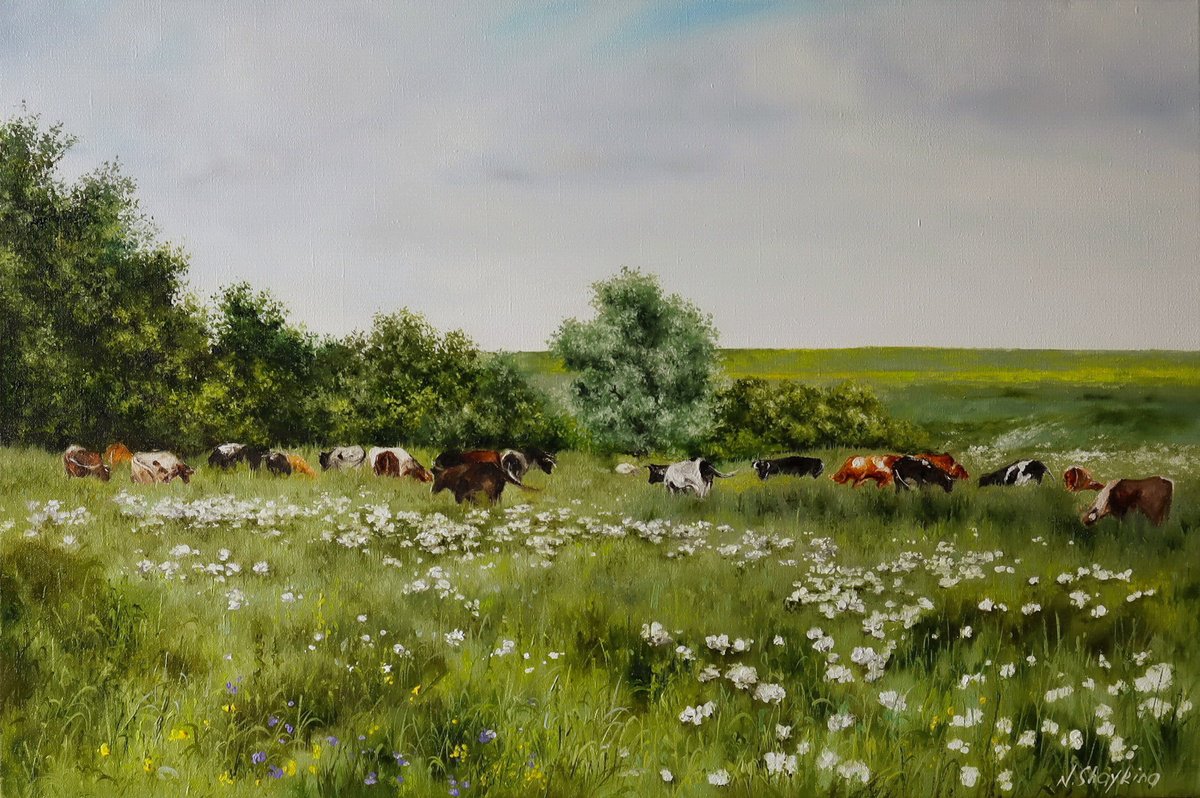 Cows Grazing In Meadow By Natalia Shaykina, 24 X 16, Artwork For Sale On Artfinder