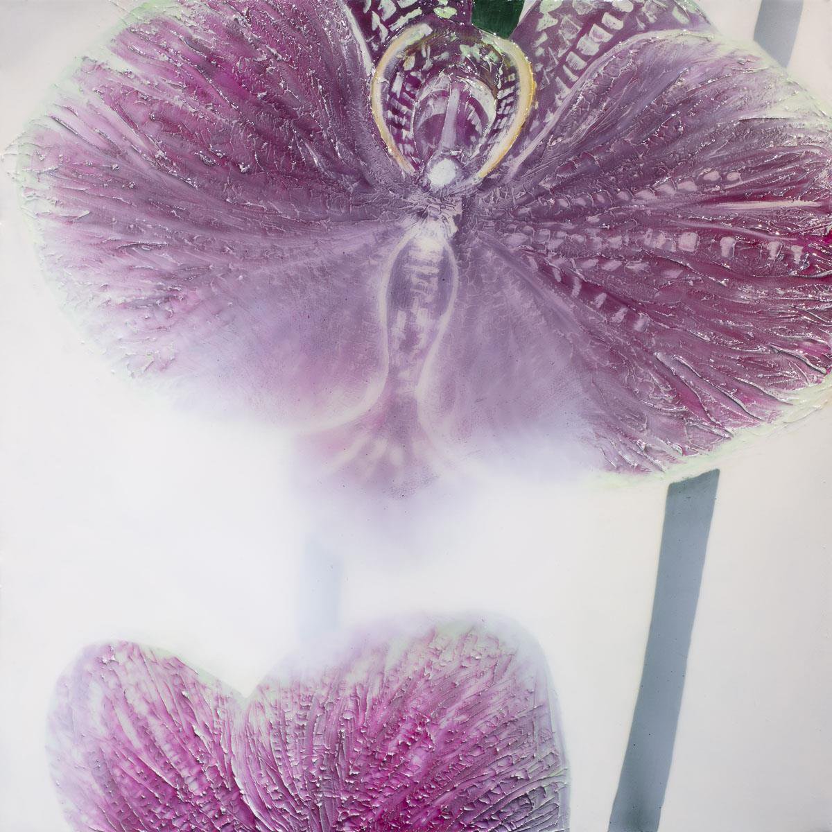 Orchids In Bloom by Robin Eckardt
