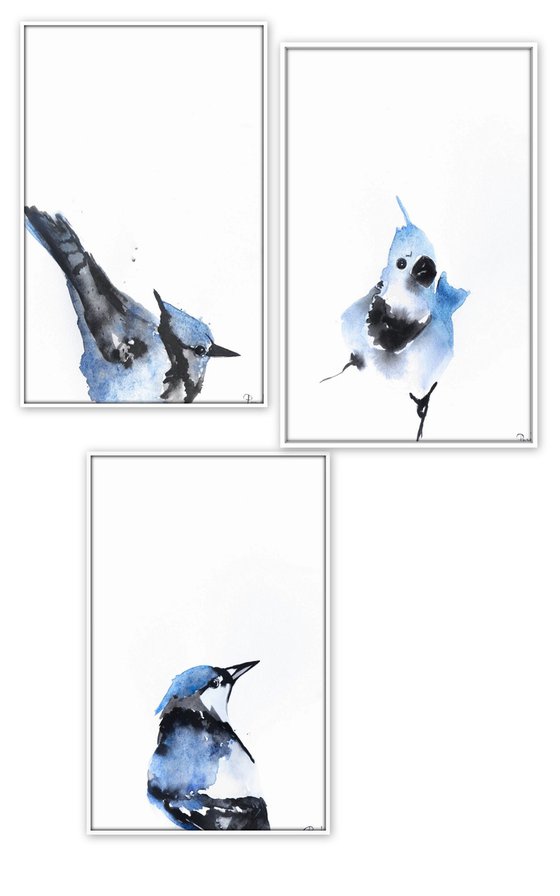 Set of 3 Bird paintings.