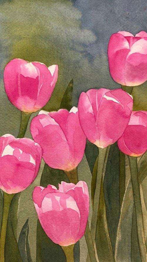 Pink Tulips by Silvie Wright
