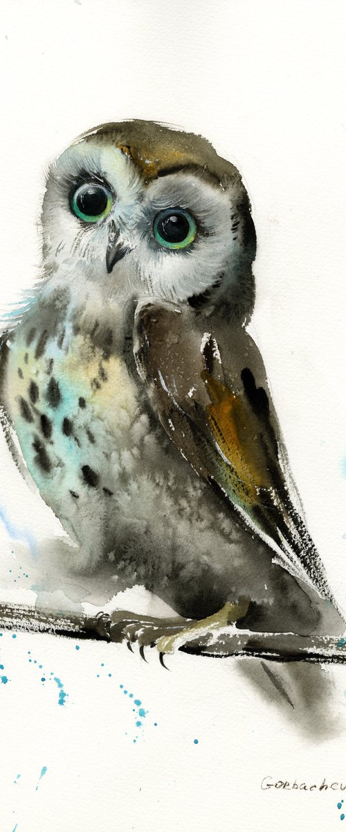 Little owl on a branch #5 by Eugenia Gorbacheva