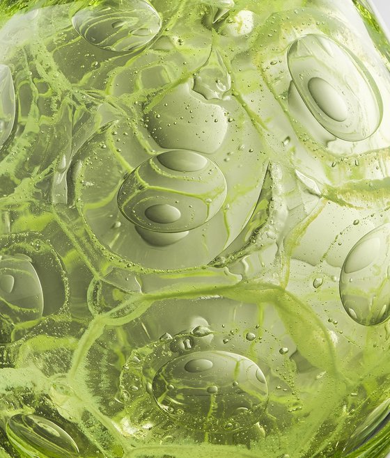Porifera Green