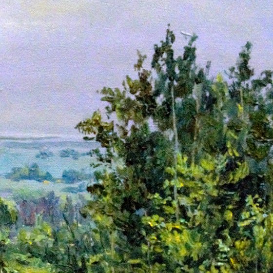 Rural landscape. Canvas painting from nature