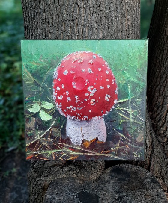 Fly agaric red