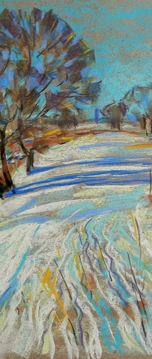 winter day by Sergey  Kachin