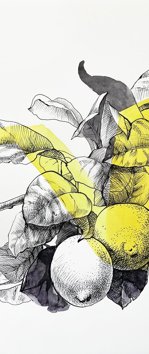 Lemon tree by Natalia Veyner