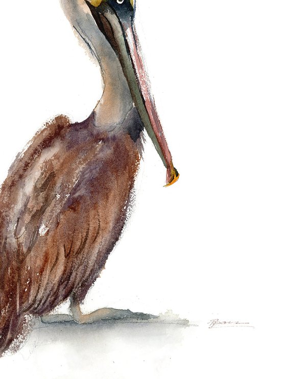 Brown Pelicans Set of 2