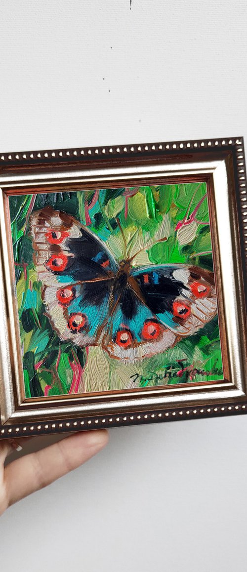 Eyed pansy butterfly by Nataly Derevyanko