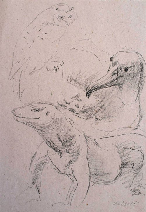 Sketches from the animal world. Similar and Different by Irina Bibik-Chkolian