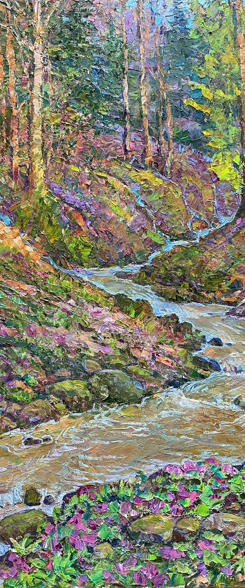 Springs of a mountain stream by Aleksandr Dubrovskyy
