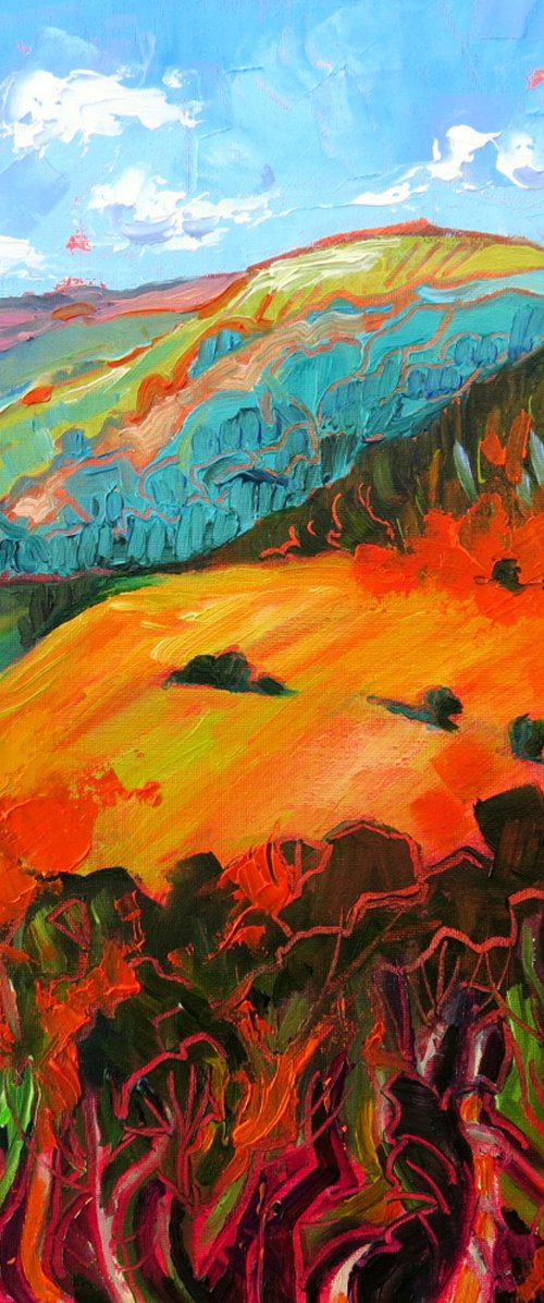 Lake District Hills by Mary Kemp
