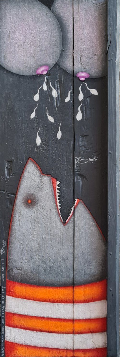 Hungry Shark II by Güçlü  Kadir Yılmaz