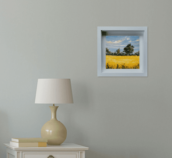 Golden fields of Summer