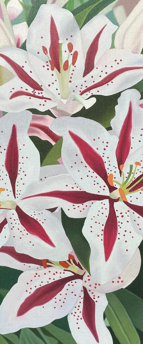 Pink and White Lilies by Jill Ann Harper