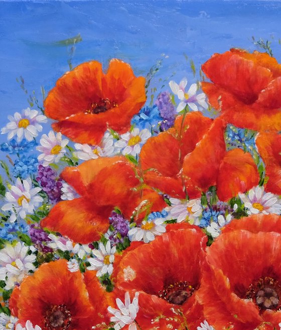 Poppies with daisies.