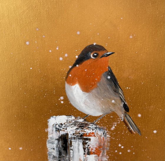 Red Robin in the Snow