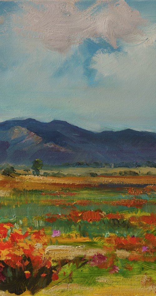 Golden poppies by Sergei Yatsenko