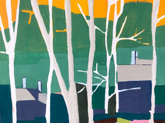 Mr Cardinal Singing His Early Morning Song