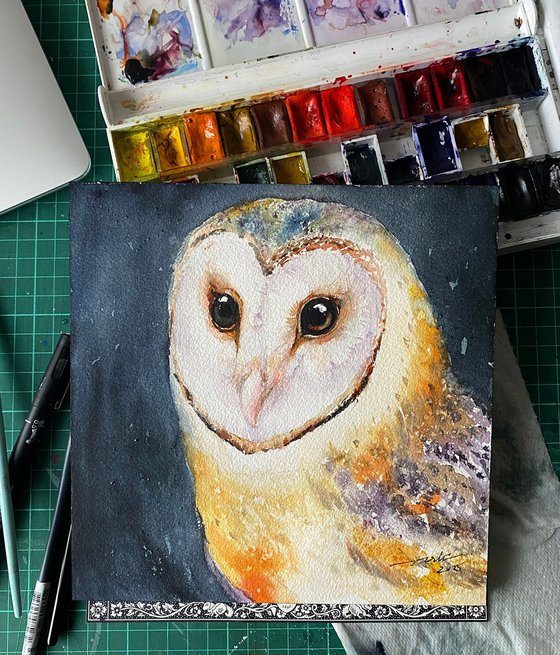 Barn Owl Oda