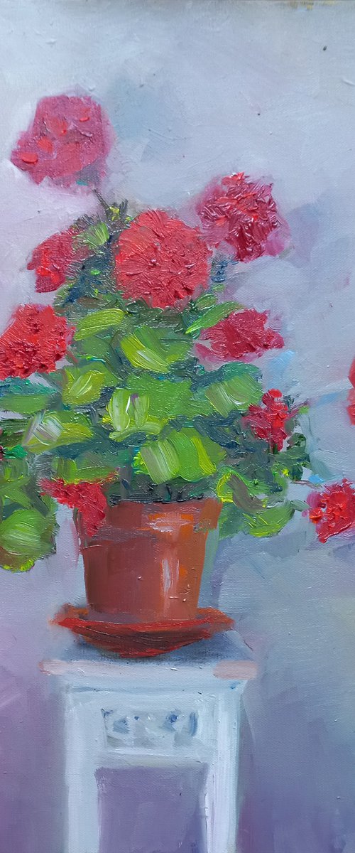 The Geraniums are great this year! by Rosalind Roberts