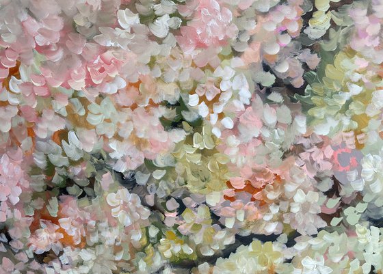 Blossoms
