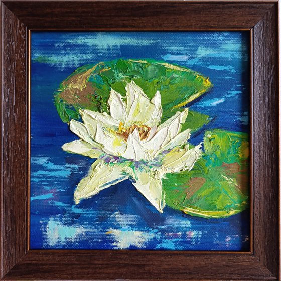 WATER LILY VII