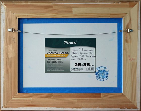 February in Kuzminki. The Churilikha River