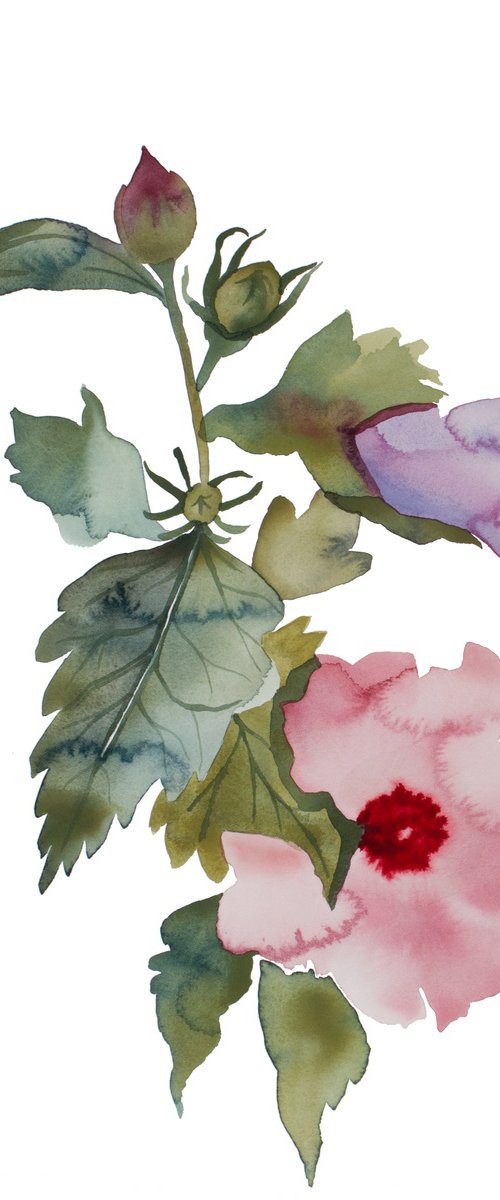Hibiscus No. 3 by Elizabeth Becker