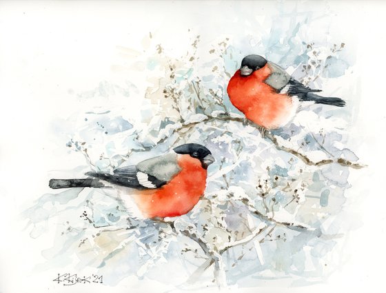 Bullfinches, winter watercolor of european birds