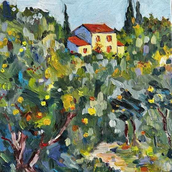 House in Summer Light