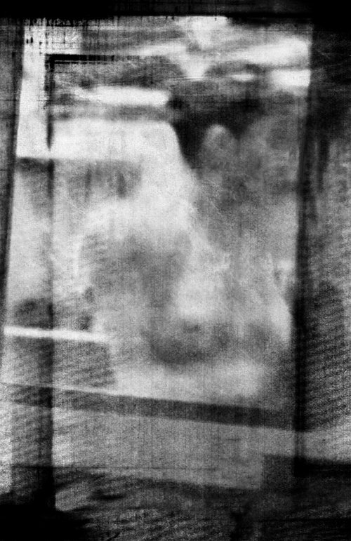 Narcissima II by Philippe berthier
