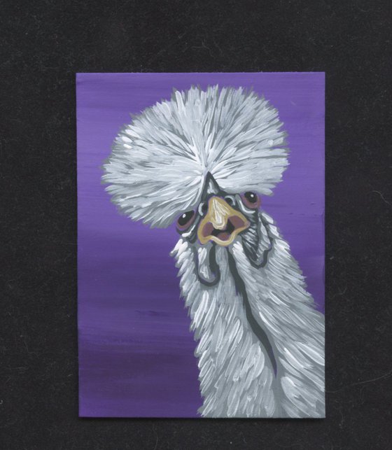 ACEO ATC Original Miniature Painting Showgirl Silkie Chicken Pet Bird Art-Carla Smale