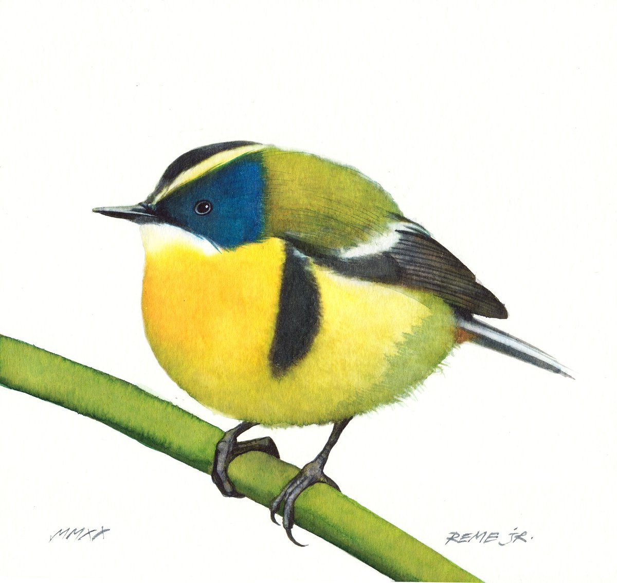 BIRD XXXVI by REME Jr.