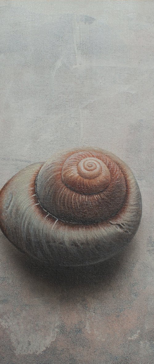 Fibonacci´s Refugium by Dietrich Moravec