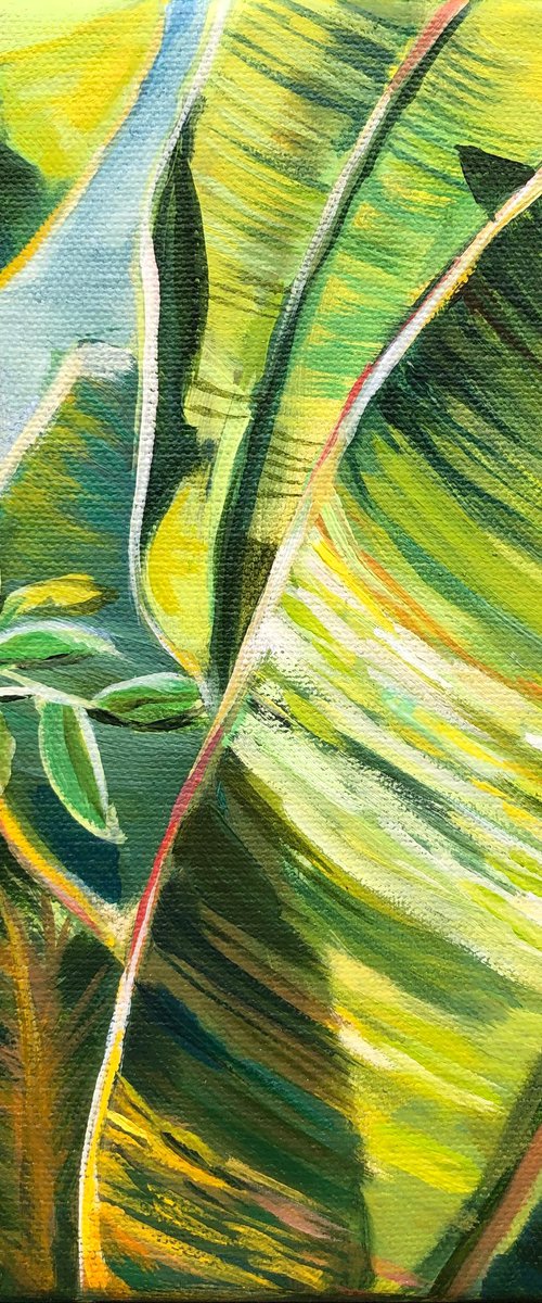 «Sunlight game». Green Tropical garden by MOMALYU