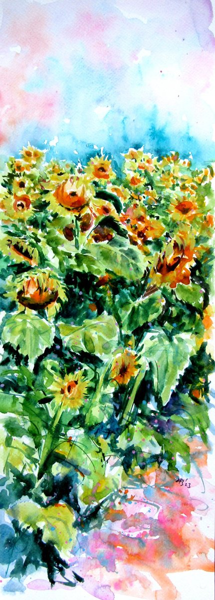 Sunflower field by Kovacs Anna Brigitta