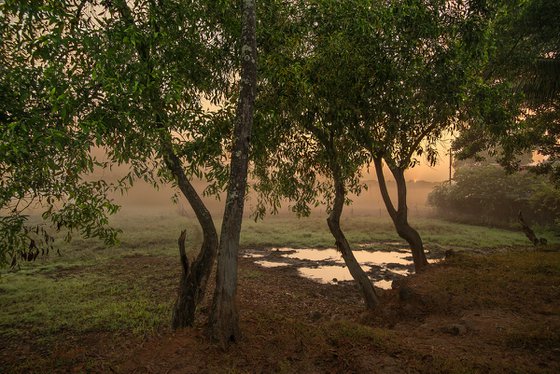 Dawn, Halcyon Villas.