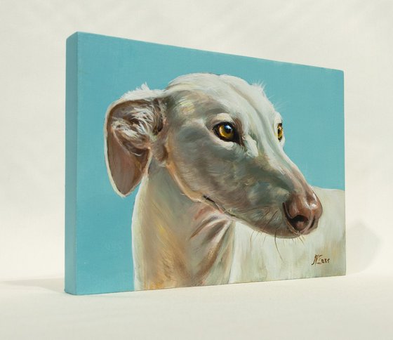 "Golden Gaze" - Greyhound Portrait