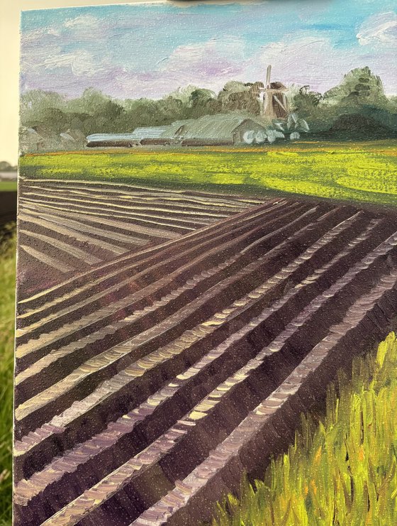 Plowed Field in Wachtum