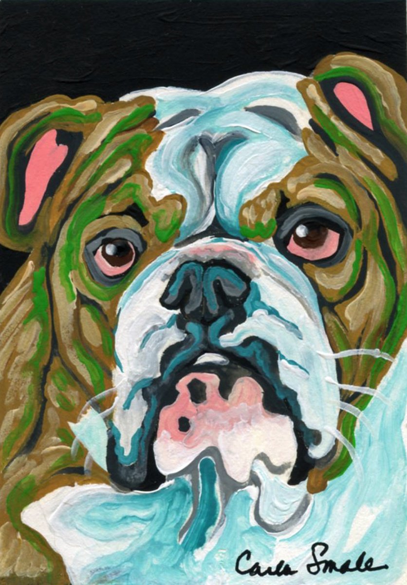 English Bulldog by Carla Smale