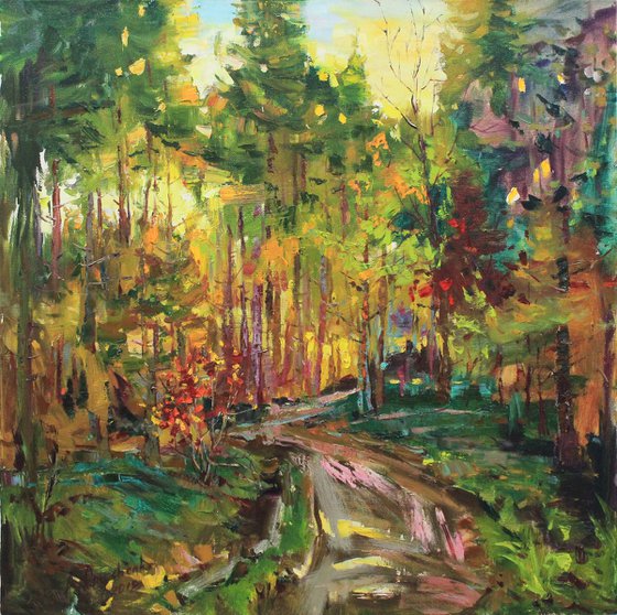 "Forest road"