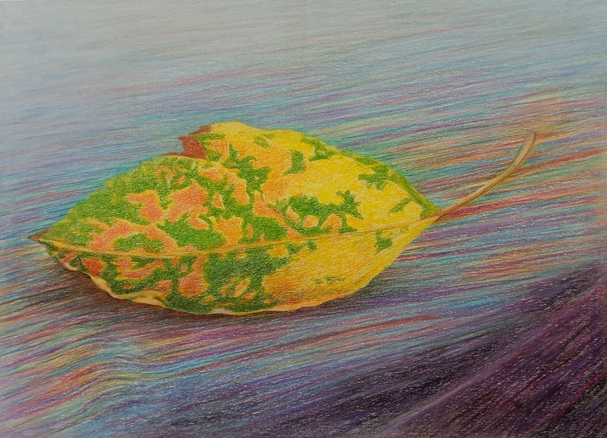 LOST IN TIME Autumn Leaf by Nives Palmic