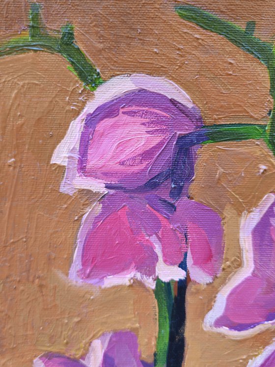 "Orchids"