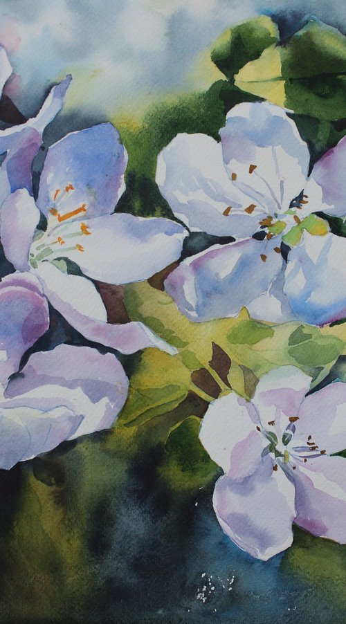 APPLE FLOWERS#3 by Yurii Pashkov