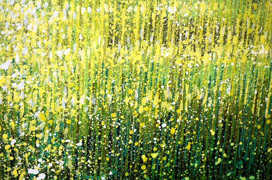 Forest Edge Summer Trees
