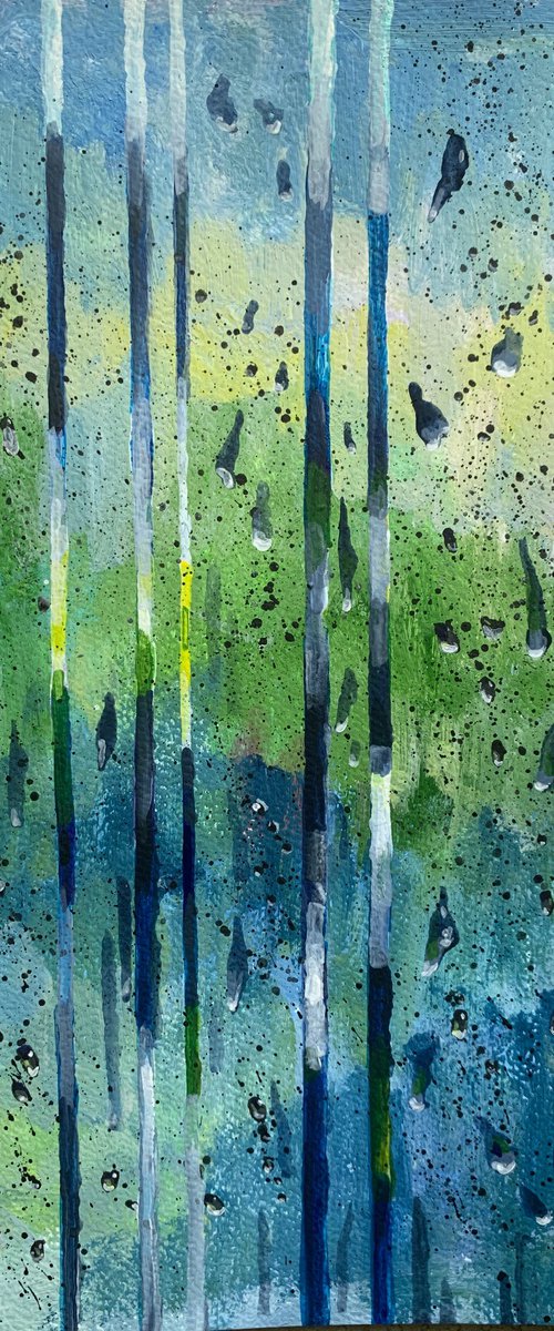 Drizzle by Olga Pascari